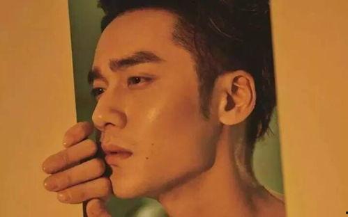 爱娱乐吃瓜欢,揭秘娱乐圈幕后故事